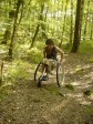 wheelchair-guy-forest