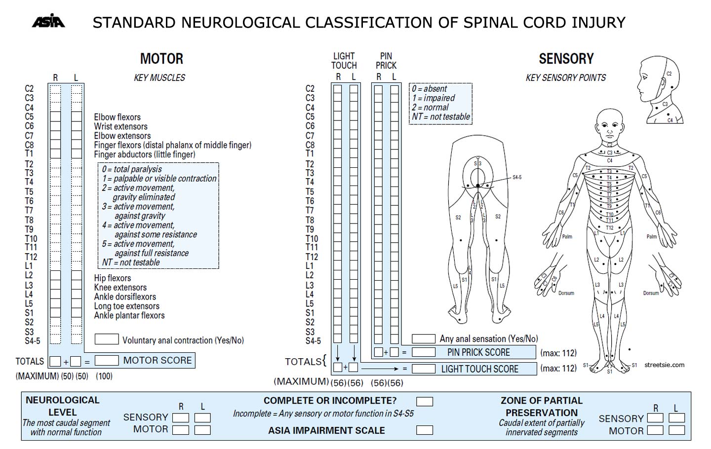 Spinal Cord Injury Classification